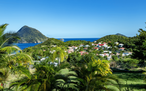 A village inside a forest on a Caribbean island as seen from some palm trees