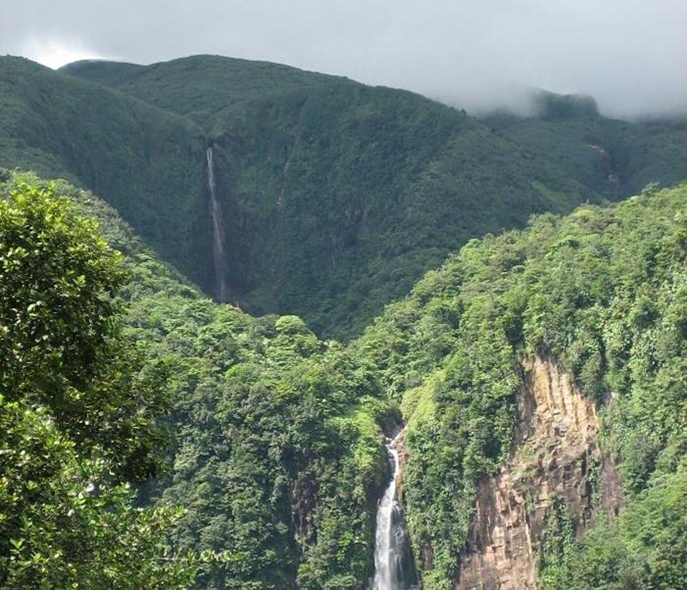 A green landscape on Basse-Terre in Guadeloupe