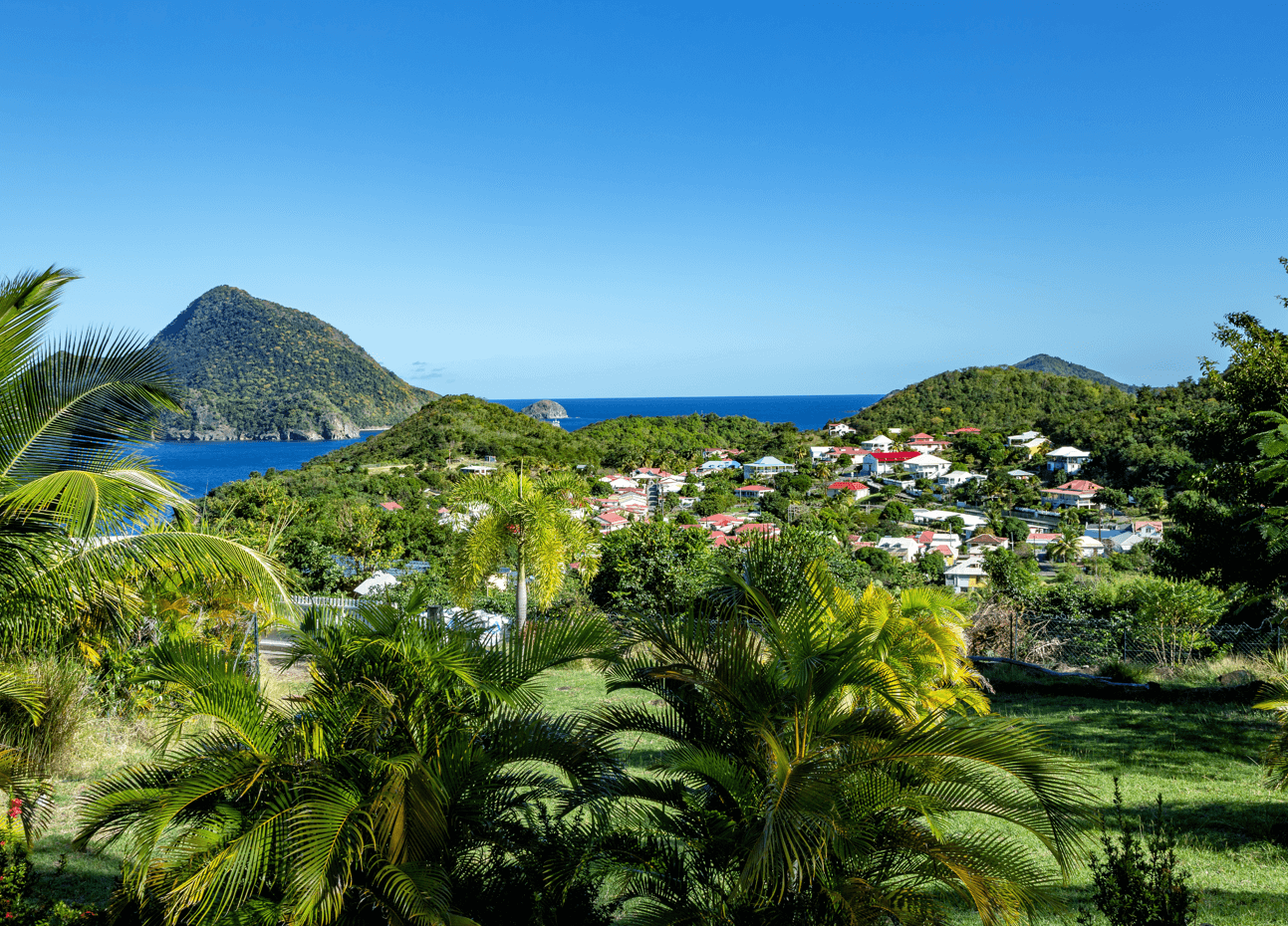 A village inside a forest on a Caribbean island as seen from some palm trees